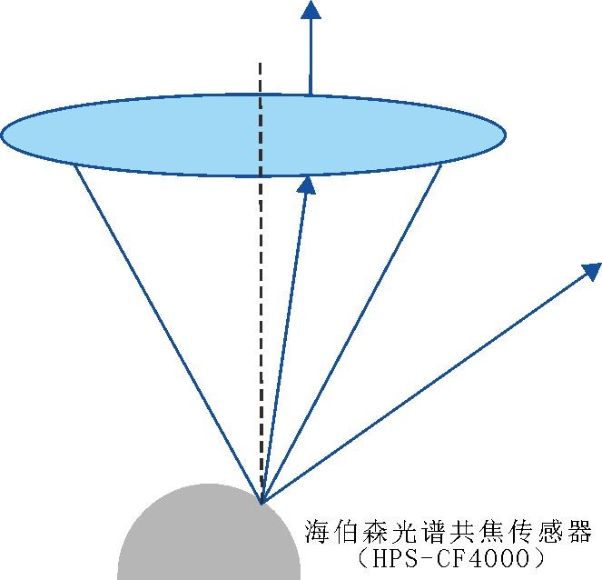 ��ҳ-ŷ½ע��-eHR����ϵͳ