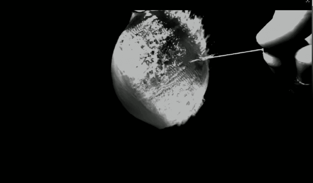 首页-欧陆注册-eHR治理系统