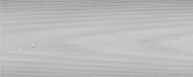 ��ҳ-ŷ½ע��-eHR����ϵͳ