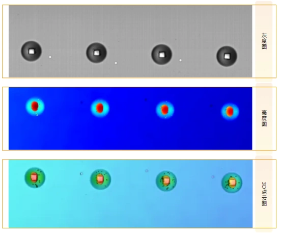 ��ҳ-ŷ½ע��-eHR����ϵͳ